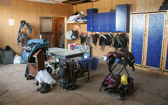 Pferdestall-Equipment: Sattelkammer vs. persönlicher Turnierwagen - Pferdestall-Equipment: Sattelkammer vs. persönlicher Turnierwagen