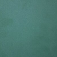 Farbige Tür pulverbeschichtet RAL 6005 moosgrün