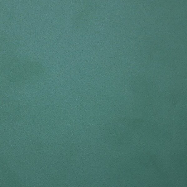 Farbige Tür pulverbeschichtet RAL 6005 moosgrün (2-türig)